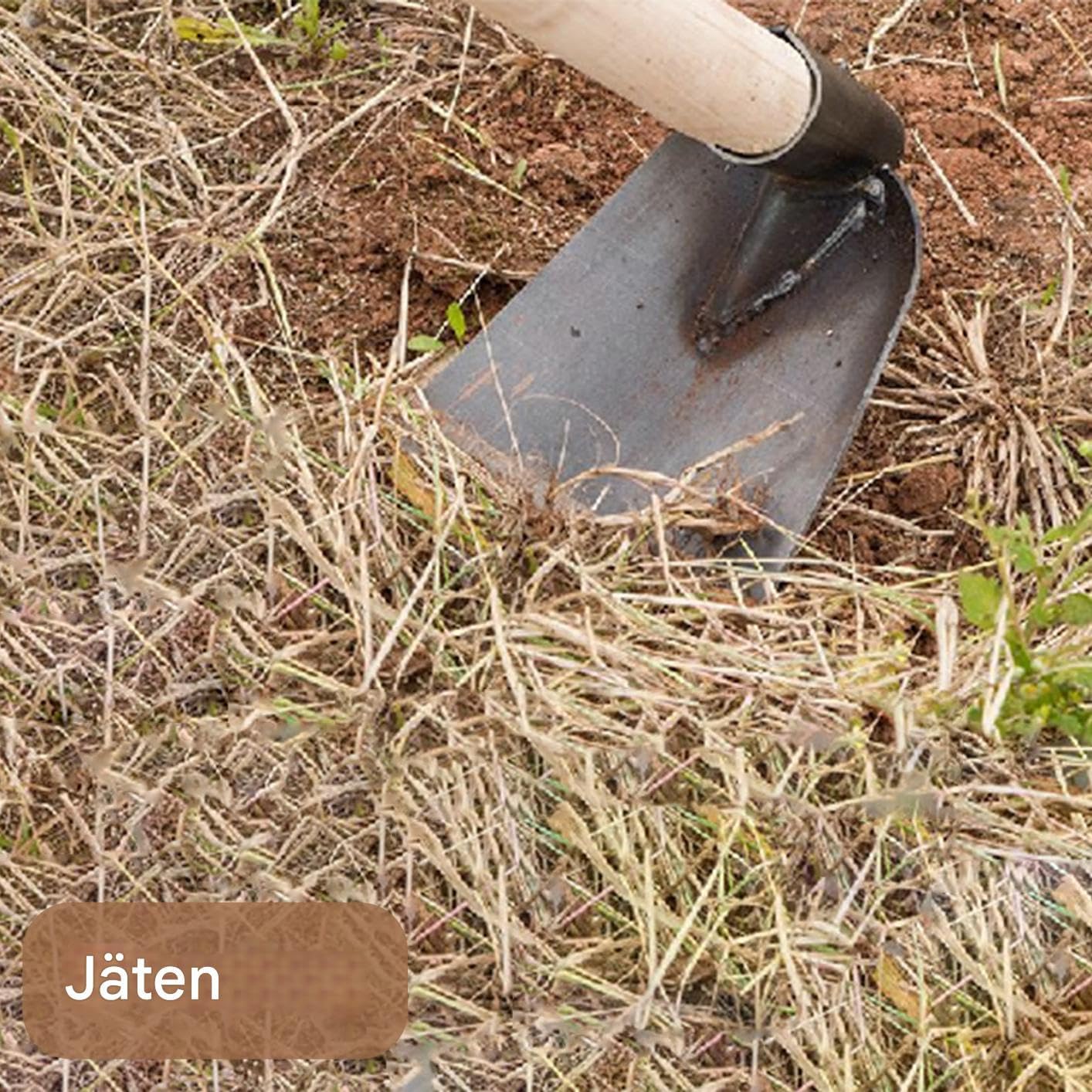 Gartenhacke Zur Unkrautentfernung, Garten Hackenkopf Für Blumenbeet Unkrautjäten, Handwerkzeug Grabgabel Boden Lockern Haus Gartenrasen