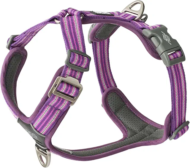 Arnés DOG Copenhagen Comfort Walk Air 3.0 Purple Passion Talla M