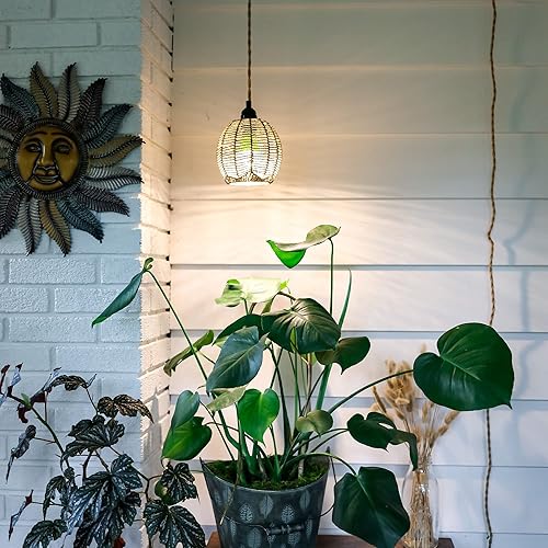 Miniatura 3 de Norb BOTANIC A19-9W - Luz LED de cultivo con tecnología única, de alta intensidad y probada por investigaciones de espectro completo, imita el sol