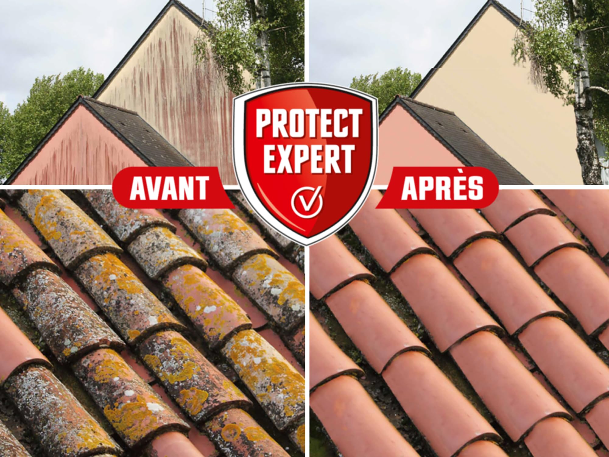 Protect Expert Traitement Terrasses Toitures & Murs - Contre Les Algues Lichens & Dépôts Verts - Prêt-À-Verser - 5L - Double Action - Préventif & Curatif AMTPB5N