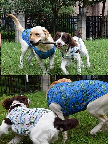 Vista 2 de Camisas refrescantes para perros, camisas para perros extra pequeñas, ropa para perros machos y hembras, camisetas refrescantes para Yorkie