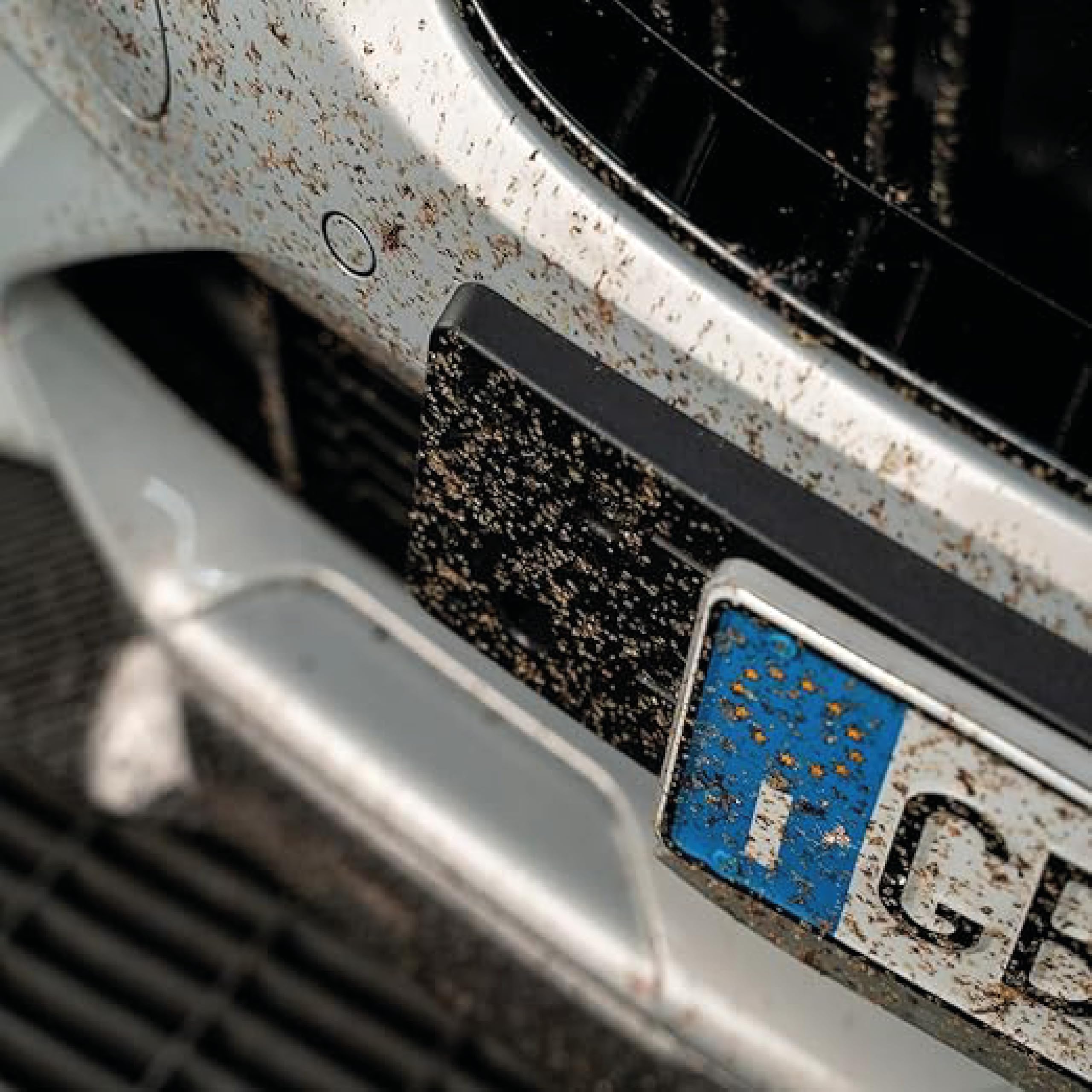 Mafra, Maniac Car Detailing Line, Formato 1L, Insect Remover, Formula in Gel, scioglie e rimuove Insetti, moscerini e Sporco Vecchio accumulato in Modo Facile e Sicuro da carrozzeria e vetri Auto