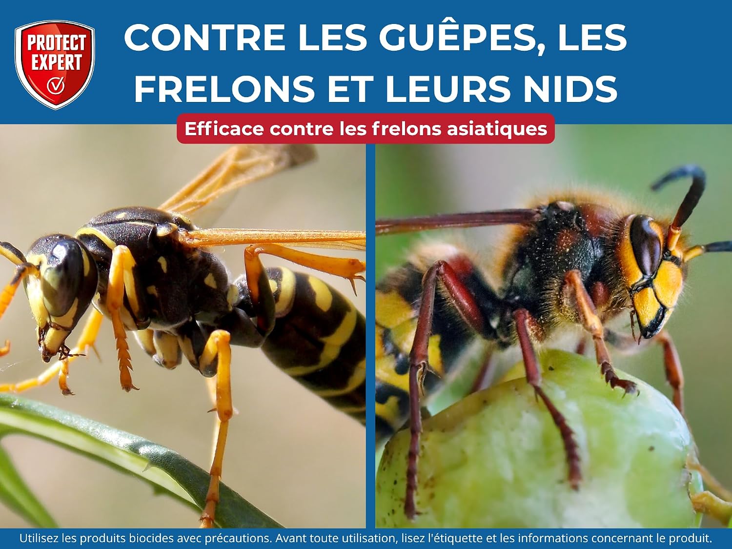 PROTECT EXPERT Spray Aérosol Guêpes & Frelons Asiatiques - 600ml | Jet Longue Portée 6m - Efficace sur les Nids - Action Choc & Foudroyante - GUEP600N — vue 5