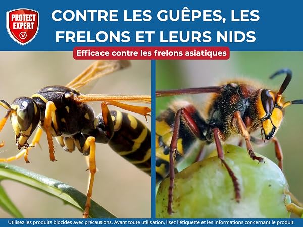 PROTECT EXPERT Spray Aérosol Guêpes, Frelons & Frelons Asiatiques - 600 ml - Jet Longue Portée 6m - Efficace Sur Les Nids - Action Choc & Foudroyante - GUEP600N - 3