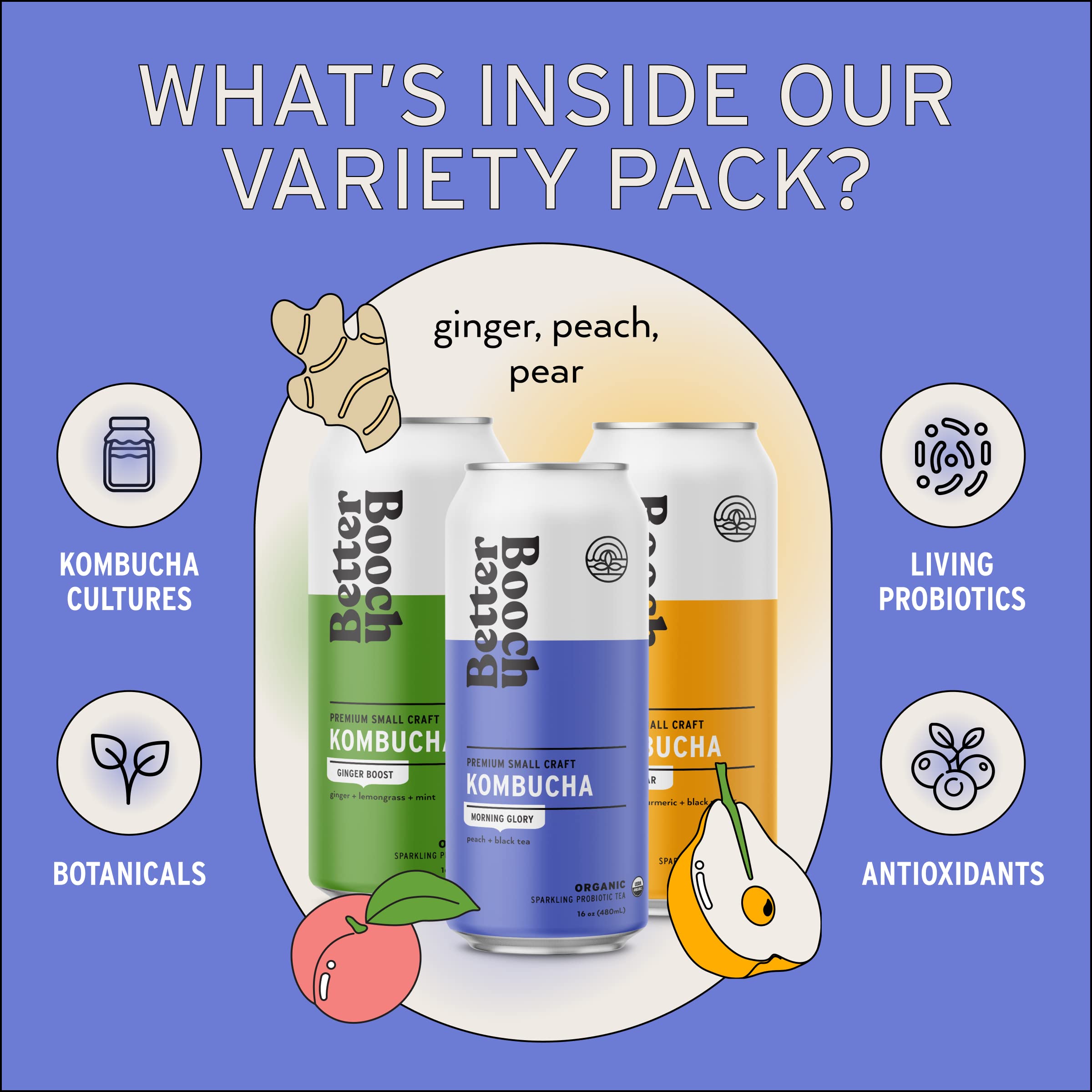 Better Booch Organic Kombucha Probiotic & Antioxidant Rich Raw