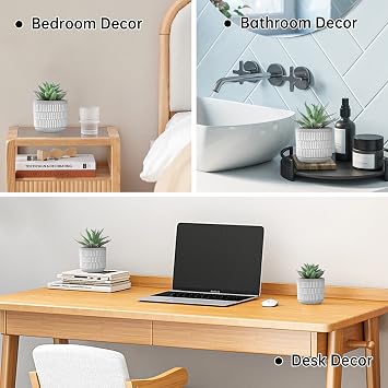 Der Rose Set of 2 Succulents Plants Artificial Fake Cactus Plants for Living Room Bathroom Bedroom Aesthetic Home Shelf Decor