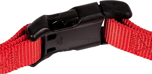 Vista 73 de GoGo Pet Products GoGo - Collar de perro Martingala de 3/8 pulgadas, talla XS, color naranja