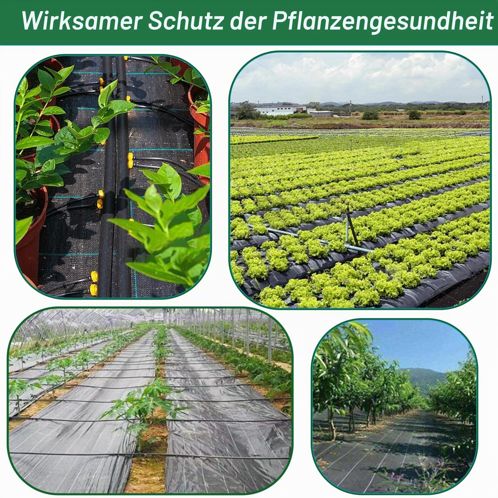 5m x 5m Unkrautvlies Gartenvlies für Garten Wasserdurchlässig Unkrautfolie gegen Unkraut 90g/m² Unkrautflies Reißfestes Unkrautgewebe Hohe UV-Stabilisierung (5m x 5m = 25m²)