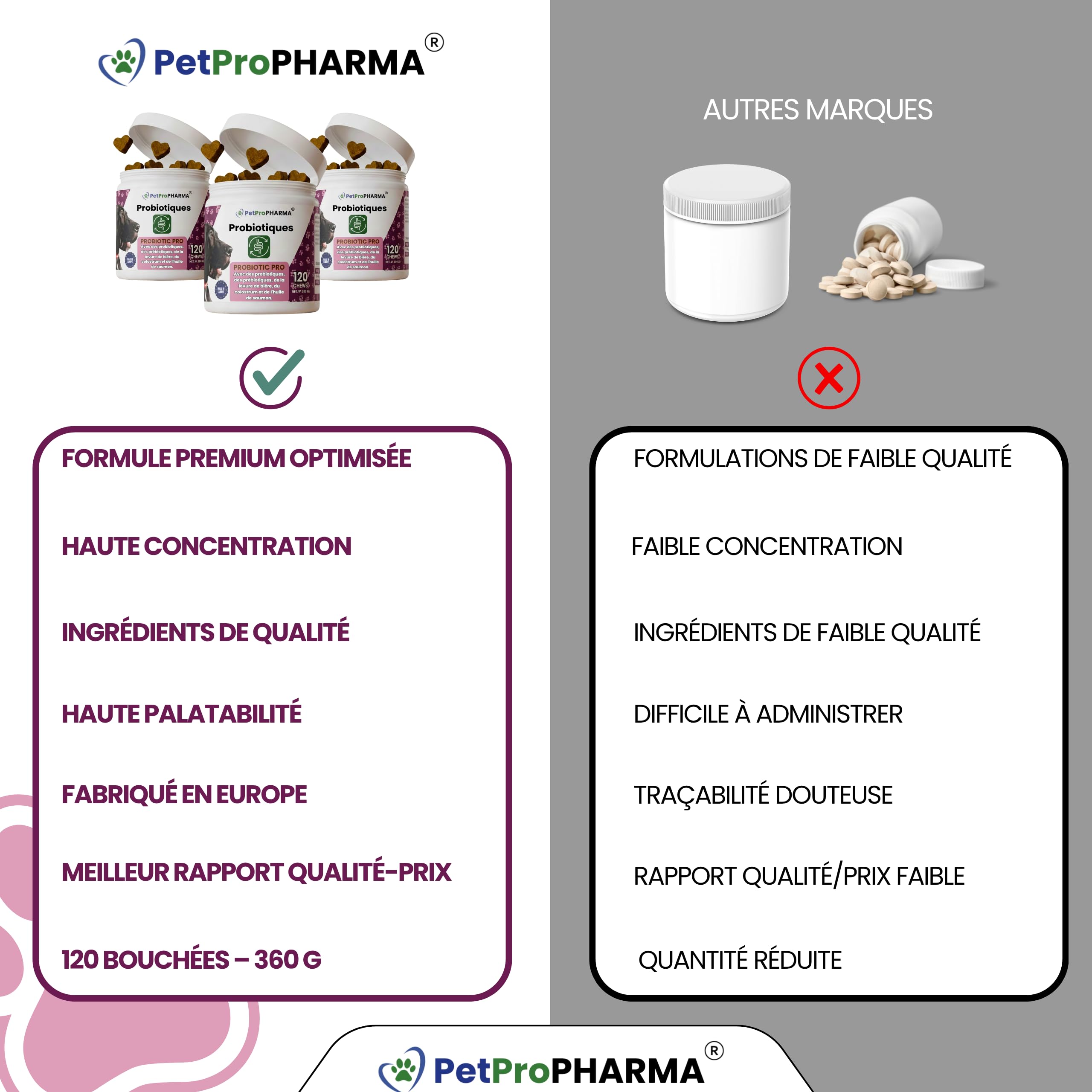Probiotique Chien et Chat – Souches Actives + Prébiotiques Naturels | Flore Intestinale, Digestion, Selles Régulières, Immunité Renforcée | Complément Digestion & Santé Intestinale