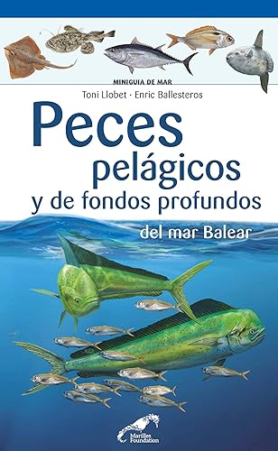 Peces pelágios y de fonsos profundos del mar balear (Miniguies del Mar Balear Marilles)