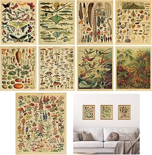 TNSLAND 9 Stück Vintage botanisches Plakat 20 x 25 cm Schmetterlings Poster | Blütendiagramm Plakat, Identifikations-Bildungspaket, Home Wohnzimmer Schlafzimmer Wandkunst Dekor Ungerahmt