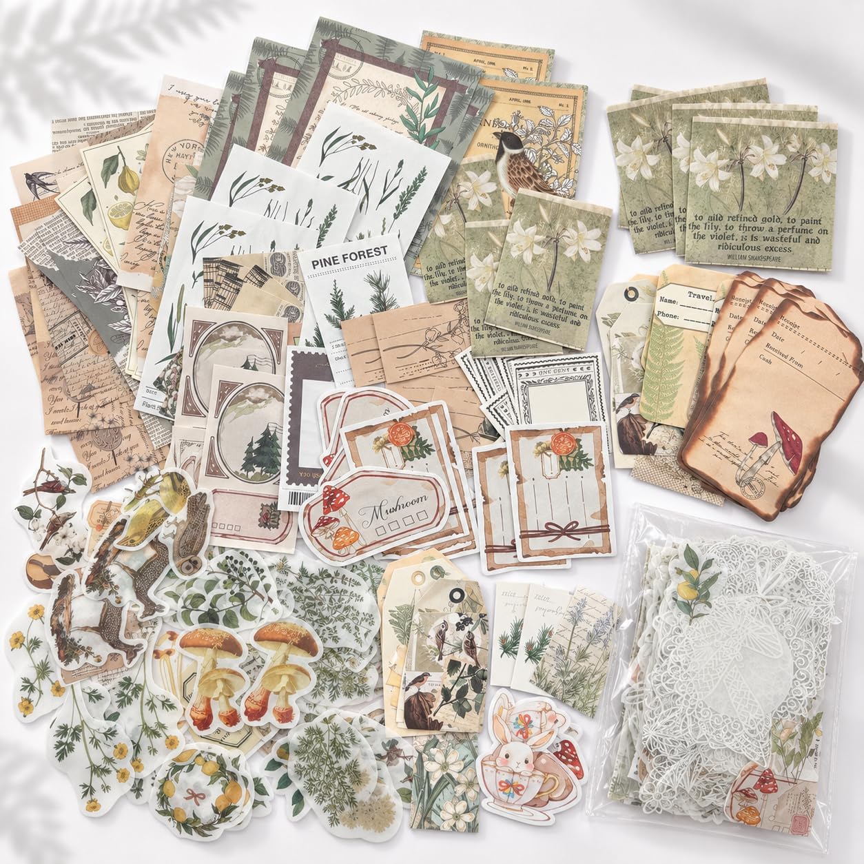 260-Piece Botanical Scrapbook Kit, Vintage Paper and Stickers