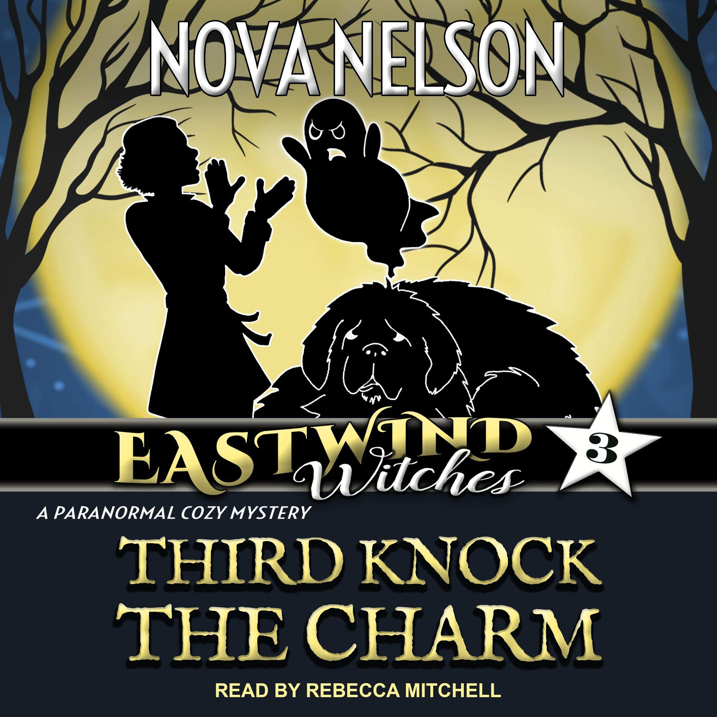 Cover art for Third Knock the Charm