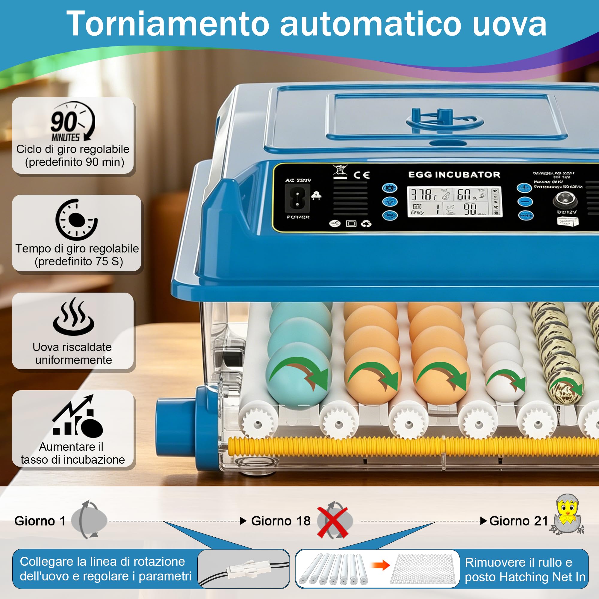 incubatrice automatica 36 uova, 5 modalità cova auto, regolatore acqua esterno, controllo temperatura, rotazione uova auto, display cova, per galline anatre oche (Blu)