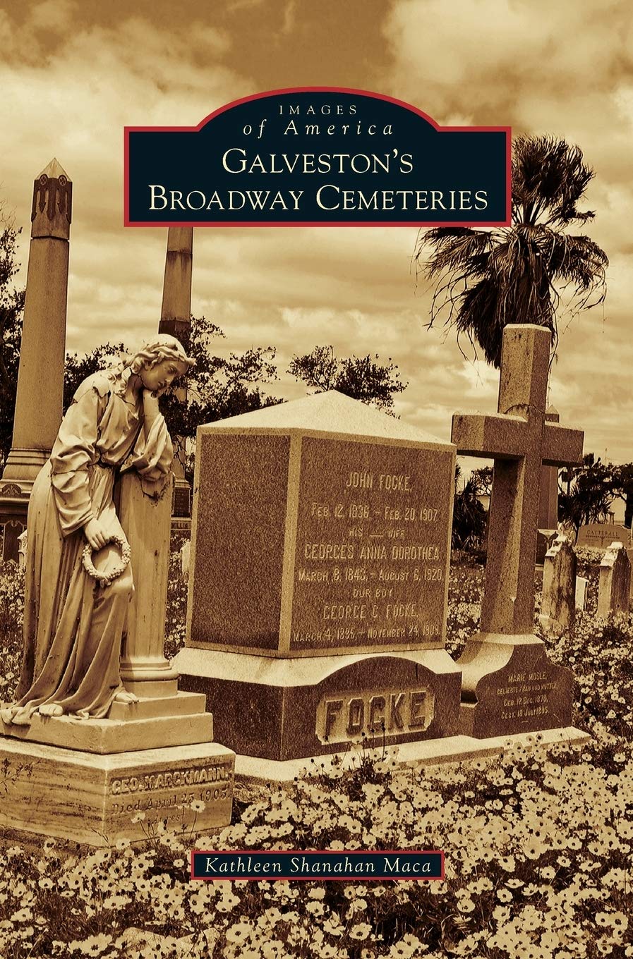 Comprendre Galveston's Broadway Cemeteries sans s'y perdre livre guide