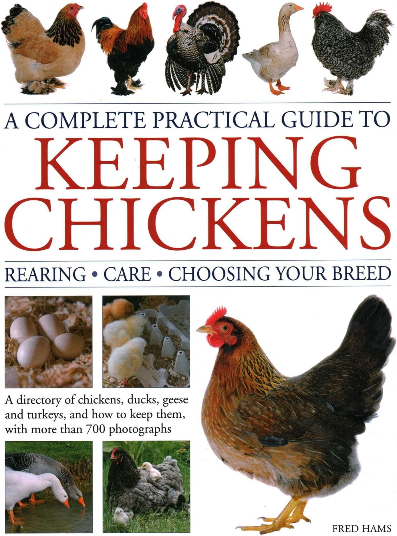 Keeping Chickens, Complete Practical Guide to: Rearing; Care; Choosing Your Breed: A directory of chickens, ducks, geese and turkeys, and how to keep them, with over 700 photographs