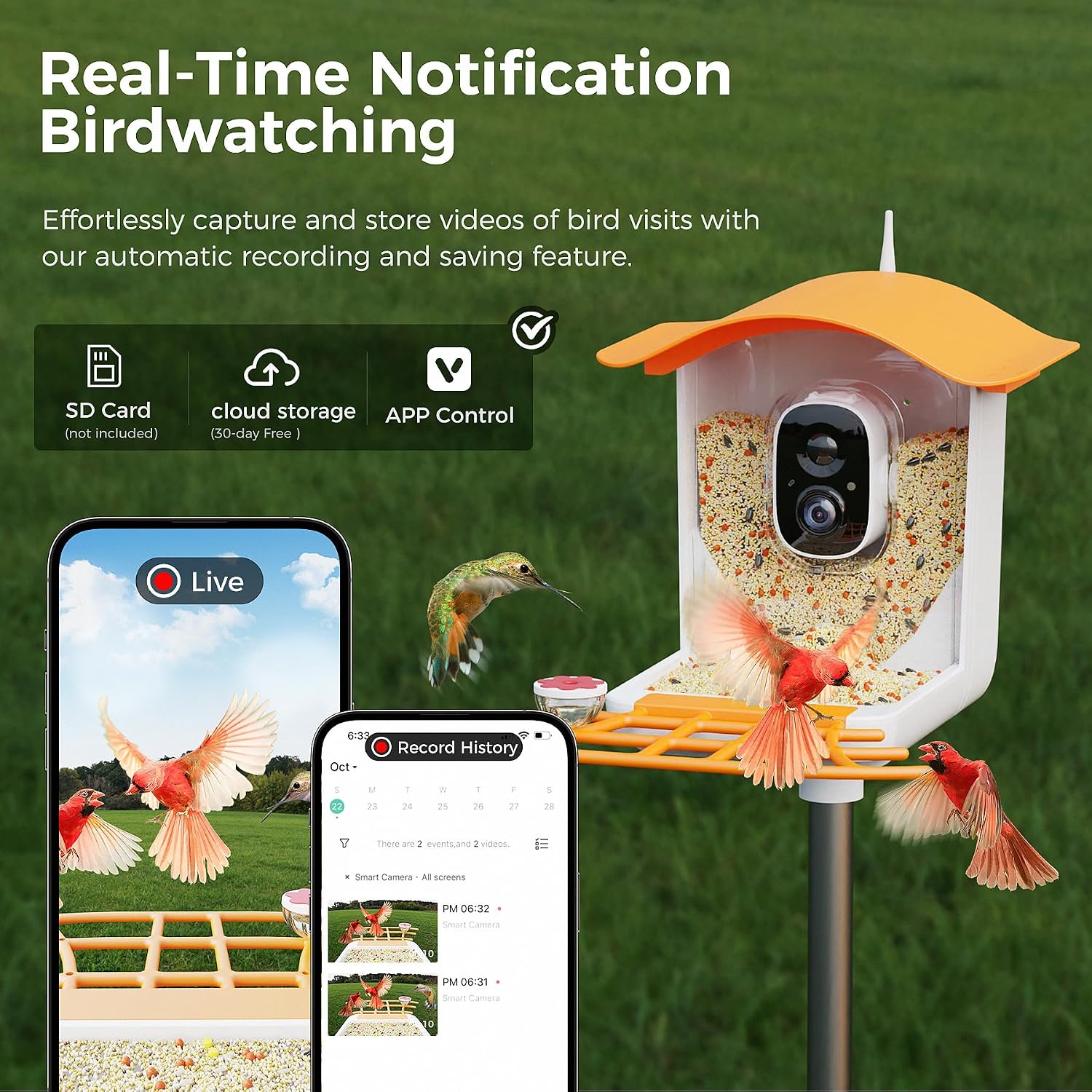 Real-Time Notification Birdwatching showing app interface with live view and record history
