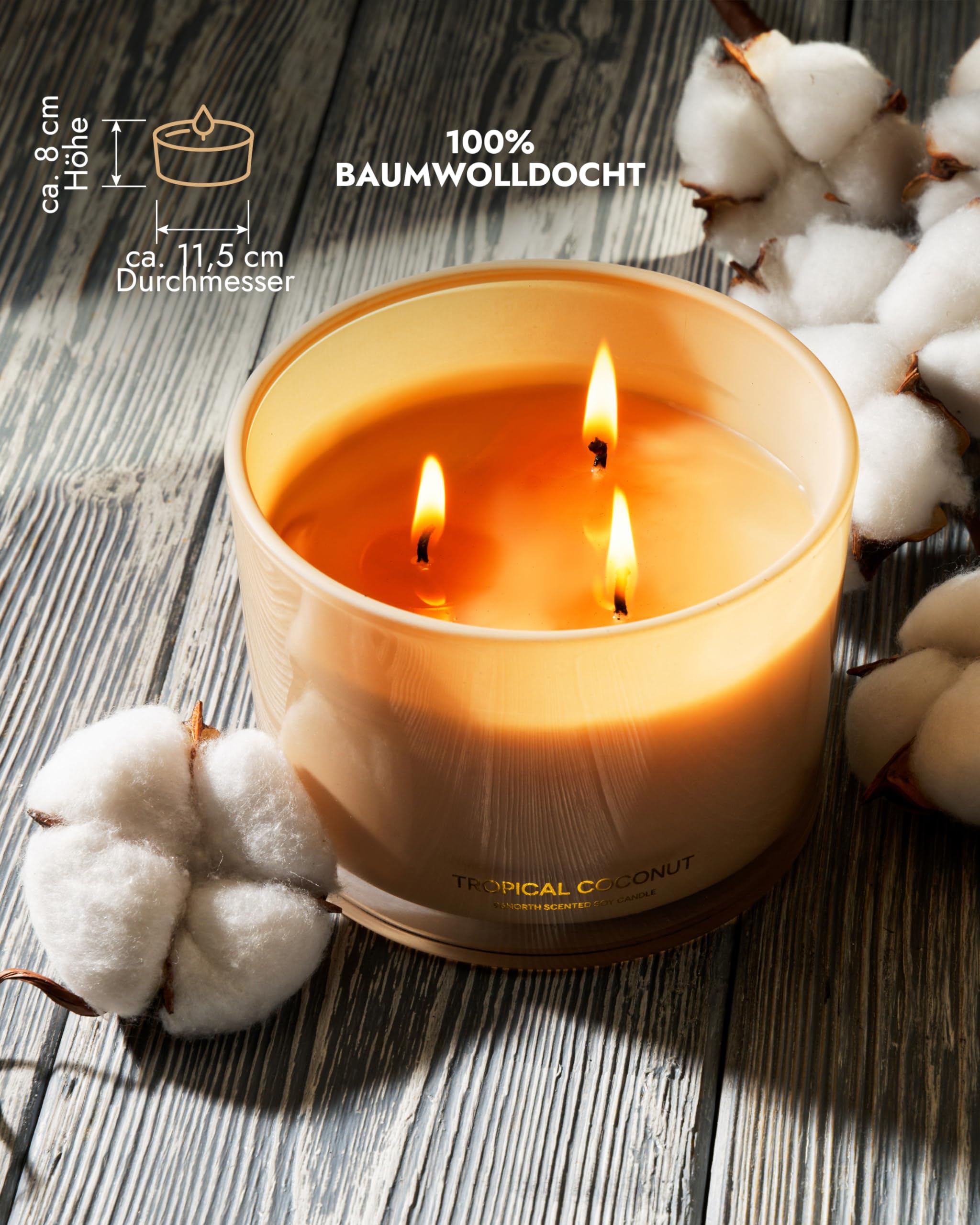 96NORTH Luxus Kerzen | Coconut Candle | 3-Docht Duftkerzen Im Glas | 100% Natürlicher Sojawachs | Brenndauer bis zu 40 Stunden