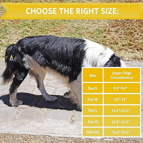Miniatura 2 de AGON Rodillera para perros – Rodillera profesional para perros con estabilizador de bisagra ajustable – Rodillera de neopreno premium para soporte