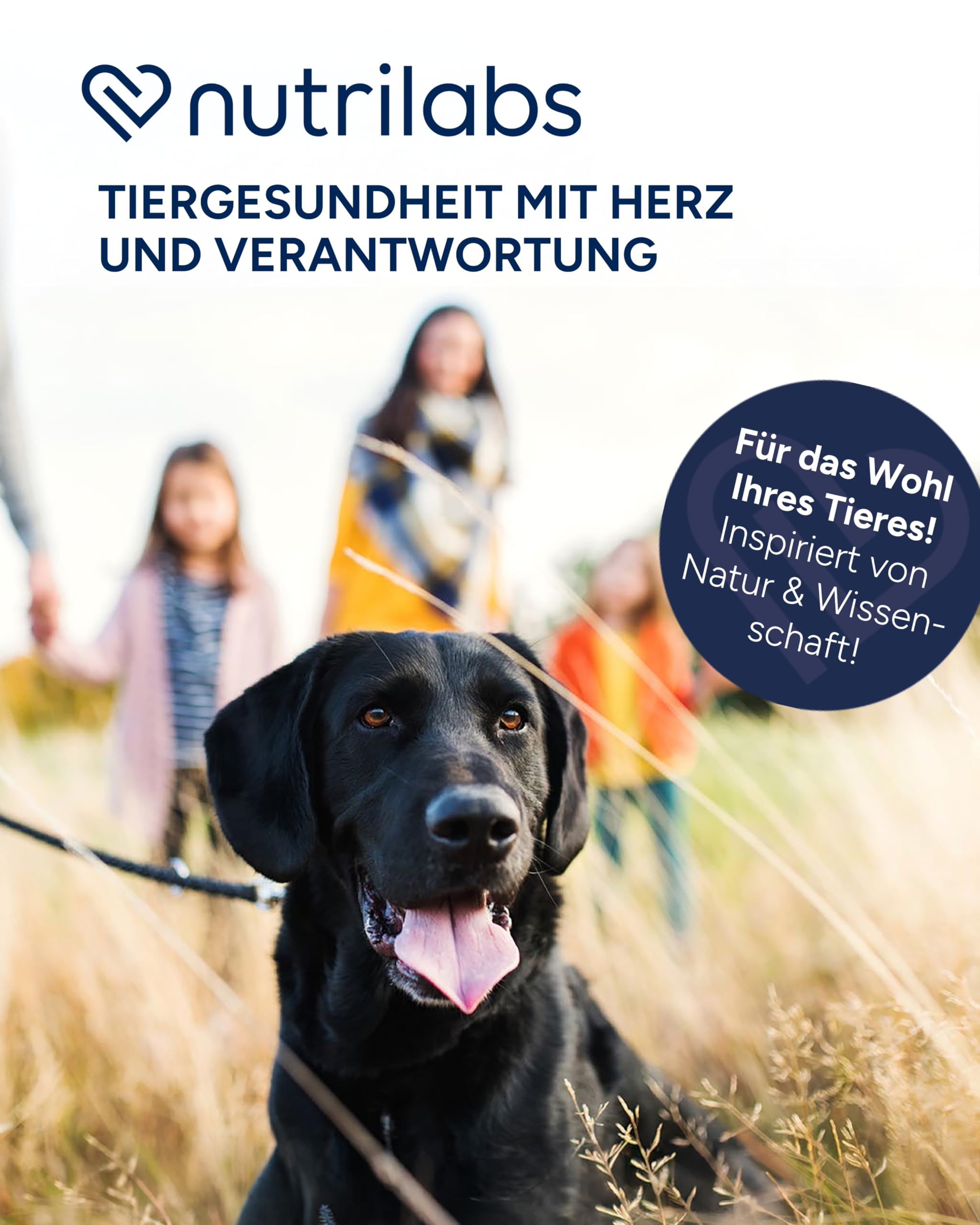 NutriLabs Zilcalm Beruhigungspulver für Katzen & Hunde - 100g - Mit Milchprotein, Ashwagandha, Probiotika, L-Tryptophan uvm. - Beruhigungsprodukte für Haustiere - Nahrungsergänzungsmittel Katze & Hund