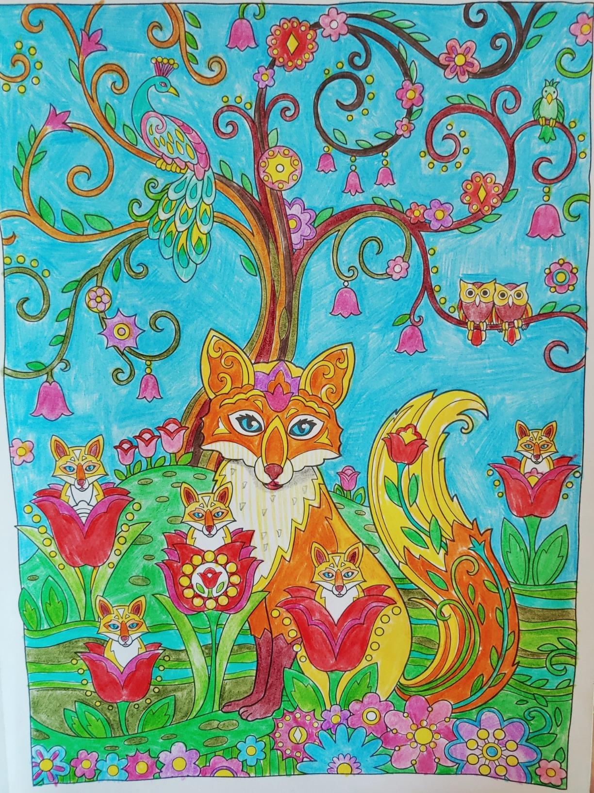 Creative Haven Fanciful Foxes Coloring Book Sarnat Marjorie Amazon 