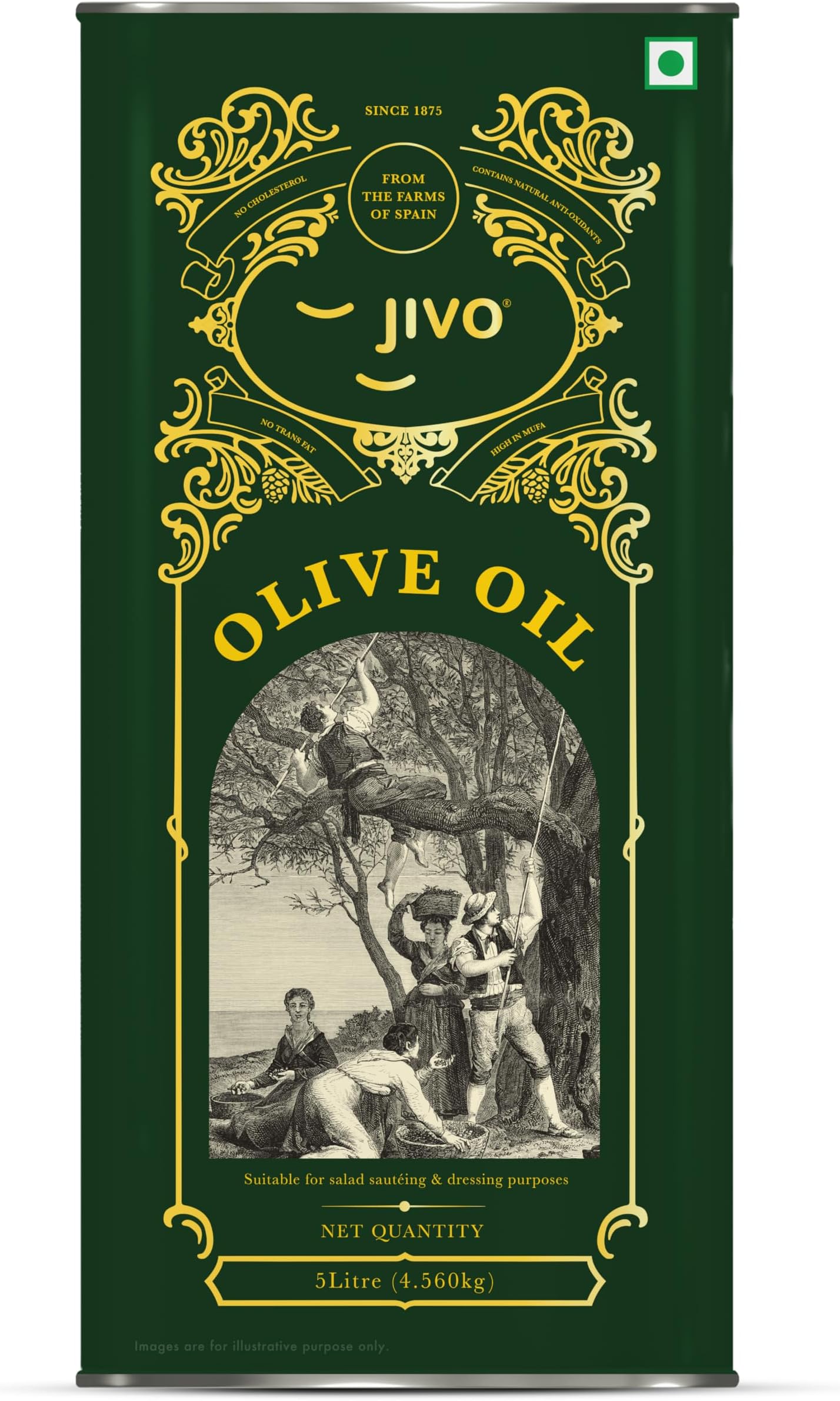 Jivo Extra Virgin Olive Oil 5 litre Tin | Imported from Spain | Contains Vitamin E | Low in Saturated Fat | Natural and Cold Pressed Cooking Oil | Ideal for Dressings, Salad and Soups, Dips & Marinades