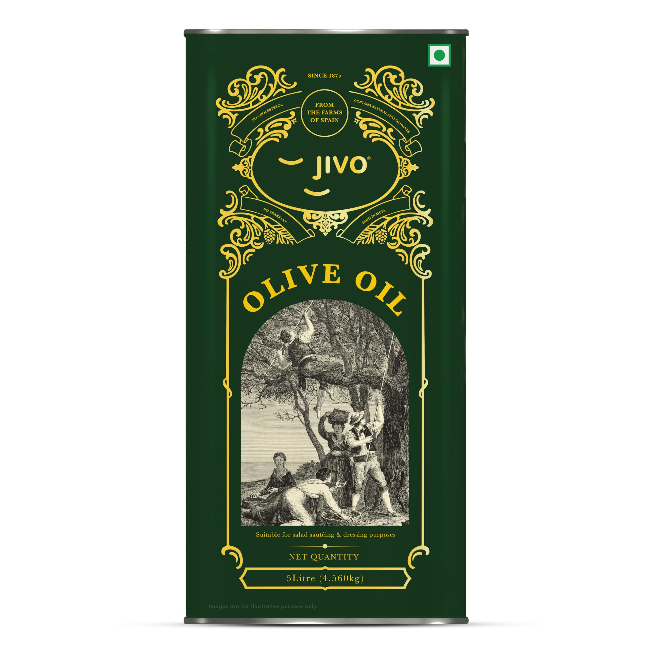 Jivo Extra Virgin Olive Oil 5 litre Tin | Imported from Spain | Contains Vitamin E | Low in Saturated Fat | Natural and Cold Pressed Cooking Oil | Ideal for Dressings, Salad and Soups, Dips & Marinades