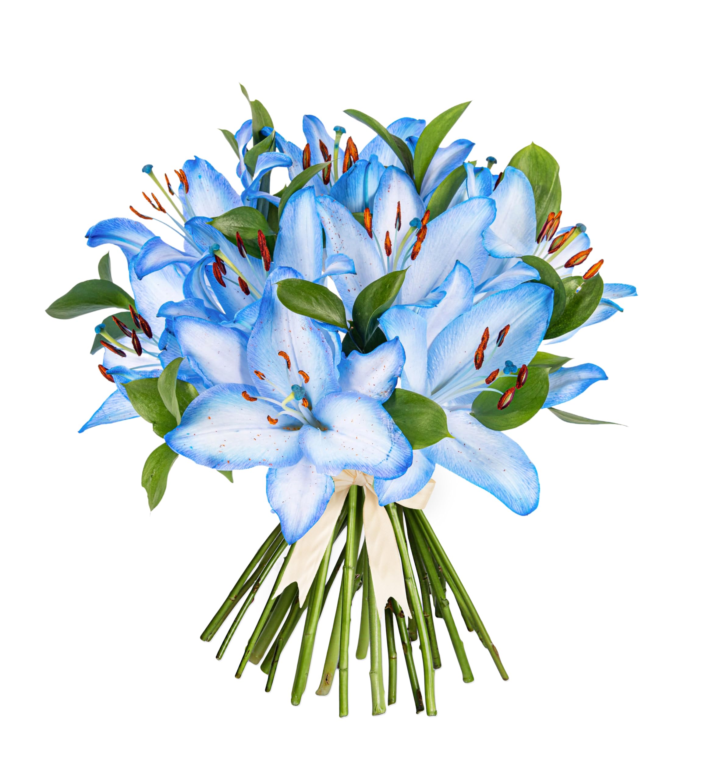 Luxury Blue Oriental Lily Bouquet, Stunning Fresh Flowers with Ruscus Foliage, Unique Handcrafted Arrangement Perfect for Birthday, Anniversary or Celebration– Arrives in Bud for Long-Lasting Beauty