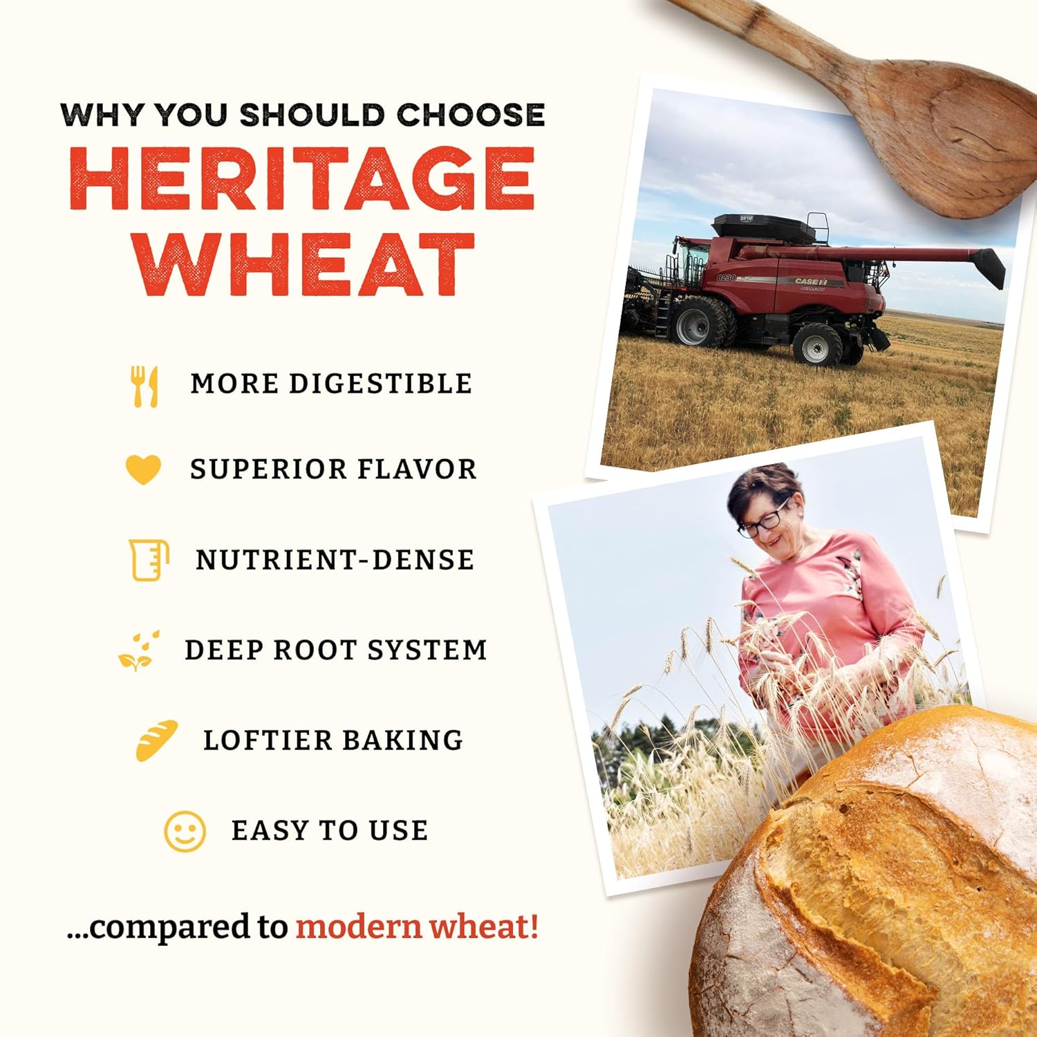 Sunrise Flour Mill Heritage Organic Bread Flour Blend - 25 lbs | Organic Unbleached Bread Flour Easy to Digest with Less Bloating | High Protein, Superior Baking | Smooth, Nutty Flavor - Image 3