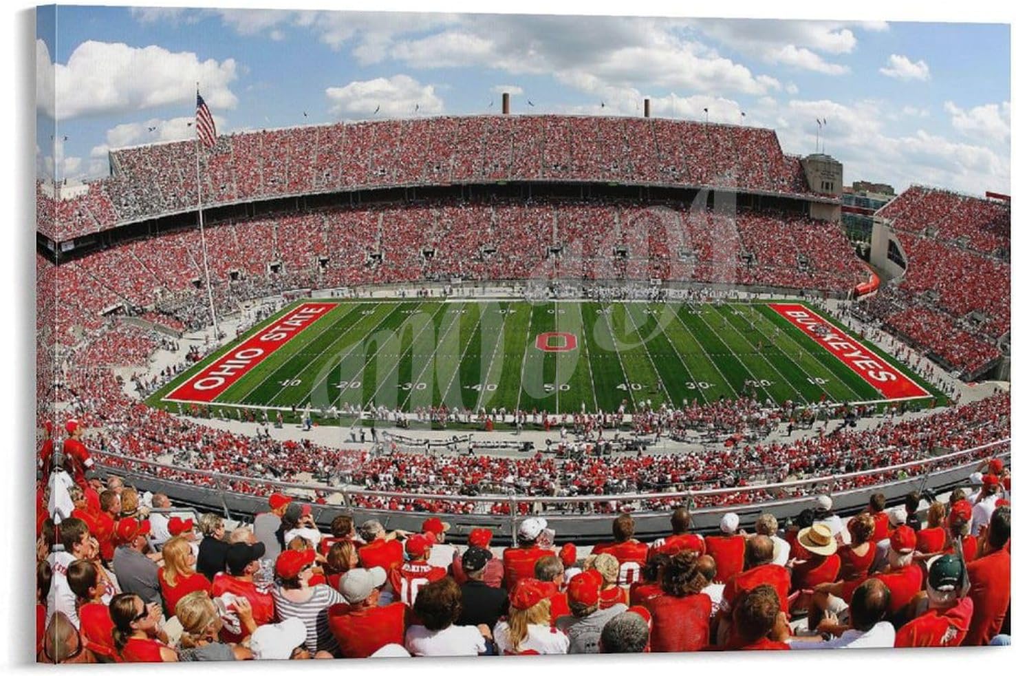 TSFTEC Office And Home Decoration Ohio State Stadium Poster Canvas Painting Posters And Prints Wall Art Pictures for Living Room Bedroom Decor 12x18inch(30x45cm) Frame-style