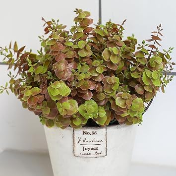 alyptus Artificial Fall Leaves Plant 8PCS Outdoor Fake Greenery Boxwood Shrubs UV Resistant Fake Plants for Porch, Patio, Thanksgiving or Autumn Home Decor - Fall Leaves