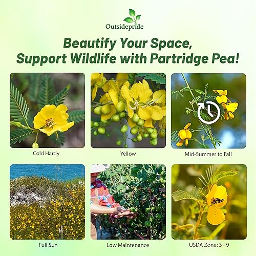 Miniatura 2 de Outsidepride Guisante de perdiz para parcelas de alimentos aves de caza y control de erosión 1000 semillas