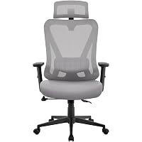 Yaheetech Poltrona da Ufficio Bloccabile Ergonomica Lombare Grigia Chiara