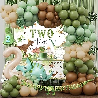 Two Rex Birthday Decorations for Boy, Dinosaur 2nd Birthday Party Suppli...