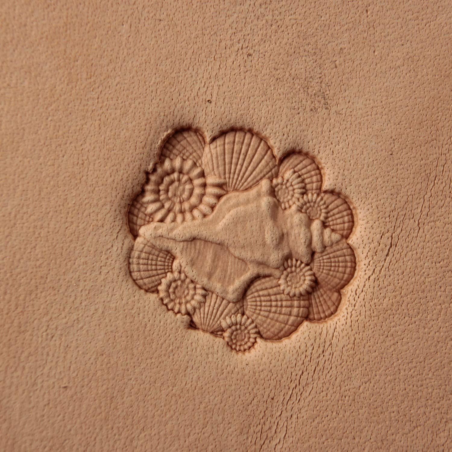 DandS ltd Leather Stamp Tool, Seashell, Professional Steel Craft Tool for Leatherworking, Embossing, Carving & Stamping Leather Projects, Belts, Wallets & DIY Projects Compatible with Mallet #429