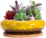 ARTKETTY Succulent Pots - Ceramic Bonsai Pots with Drainage Tray, 7.3 Inch Large Plant Pots Shallow Succulent Planters for Indoor Plants Decorative Cactus Flower Planter Bowl