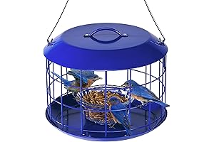 Kingsyard Bluebird Feeders for Outdoors Hanging, All Metal, Cage Mealworm Bird Feeder