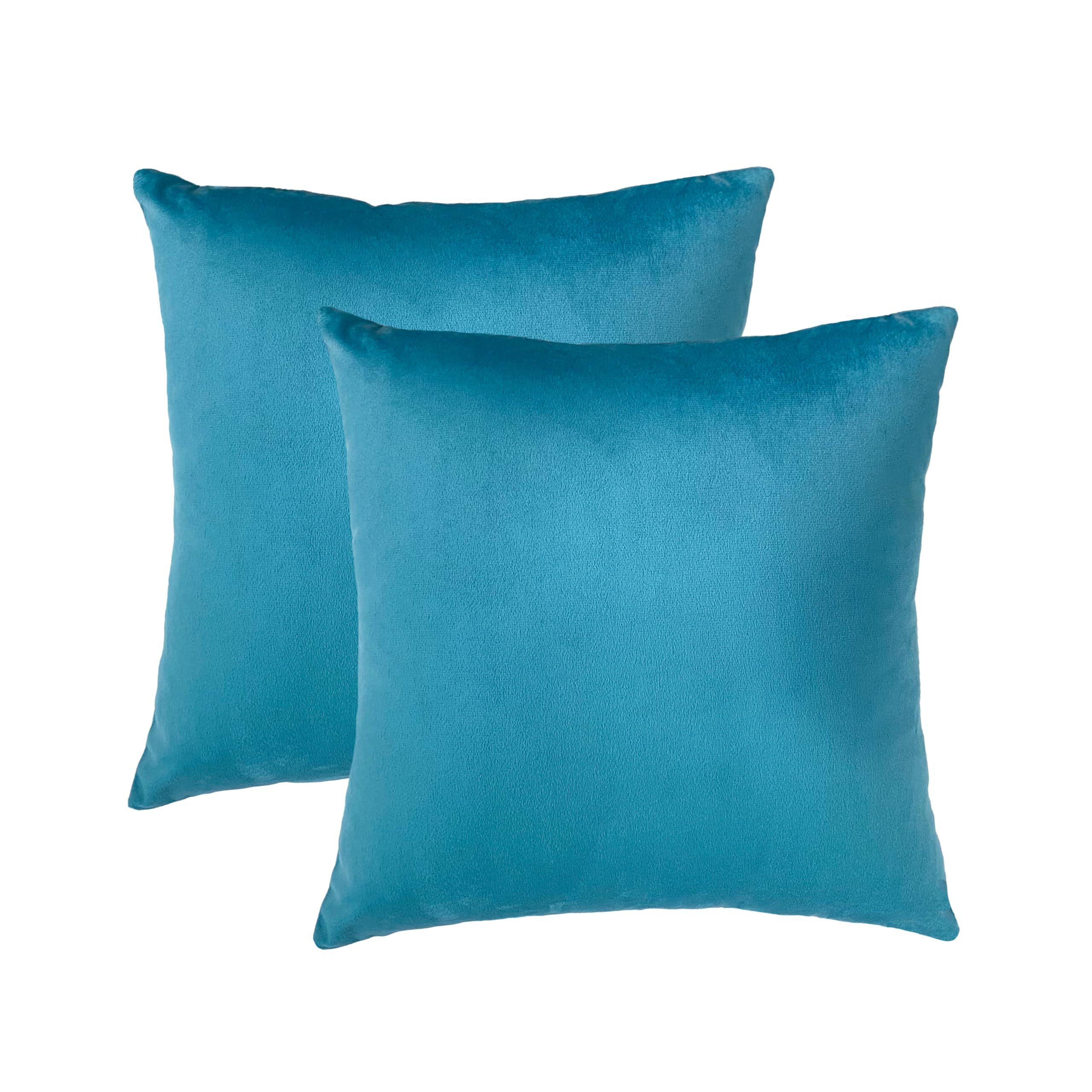 RELY Pack of 2 Throw Pillow Covers 16x16 Inch Velvet Soft Cozy Solid Decoration Gifts Pillow Covers Luxury