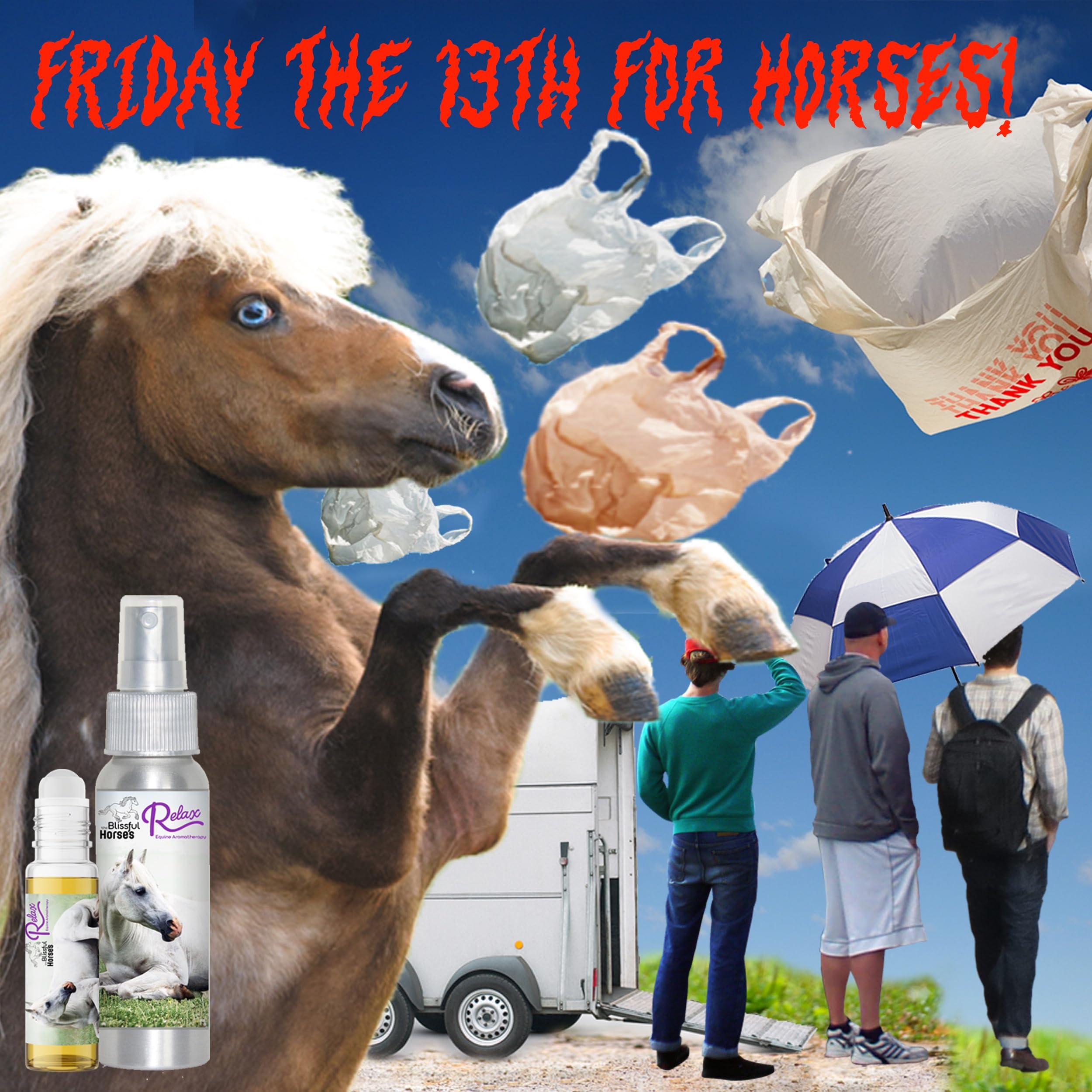The Blissful Horses Relax Spray Aromatherapy All Natural Support for Your Horse's Anxiety - image 5