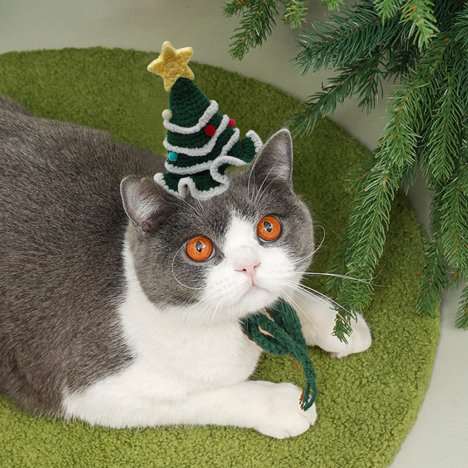 ♡感謝SALE♡ぐでねこちゃんとクリスマスツリーチャーム　とらねこ×サンタ帽子 Amazon | かぎ針編みのクリスマス帽子、犬用クリスマス帽子