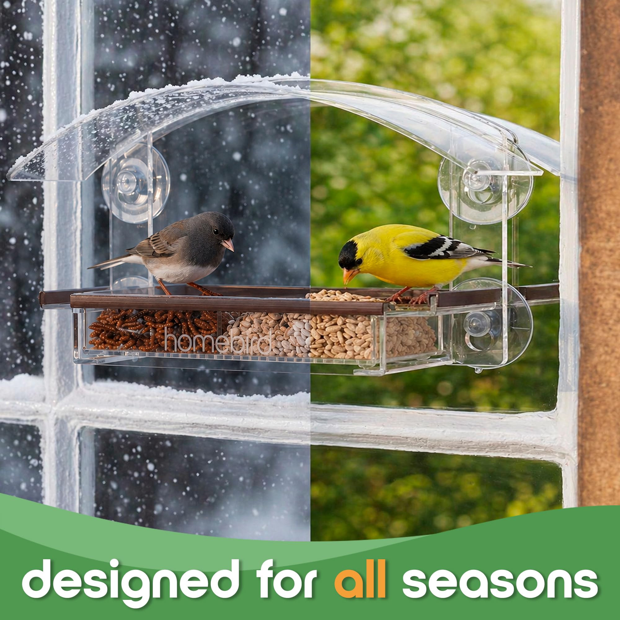 Comederos para pájaros, comederos transparentes para ventana, con ventosas fuertes, para amantes de la vida silvestre.