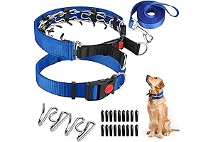 Essential Dog Prong Training Collar for Enhanced Comfort and Safety