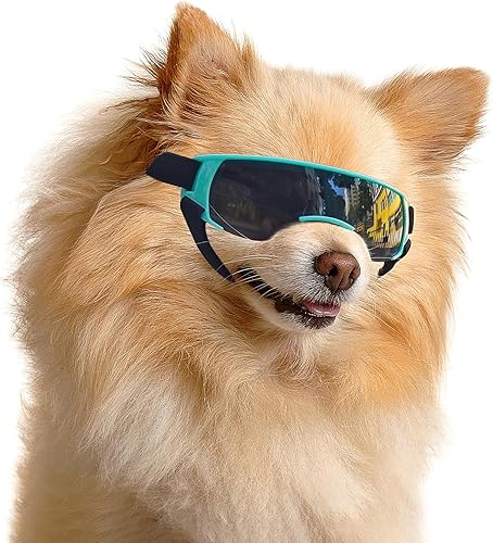 Enjoying Gafas de sol para perros pequeños, protección UV, resistentes al viento, antivaho para perros, para uso de ojos de mascotas, color azul Enjoying Gafas de sol para perros pequeños, protección UV, resistentes al viento, antivaho para perros, para uso de ojos de mascotas, color azul