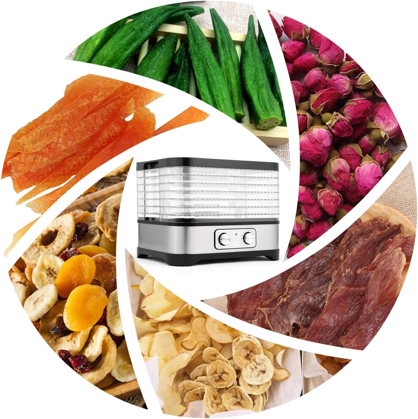 Up To 60% OFF Food Dehydrator with Digital Temperature Control,Electric 7-Trays Meat Dehydrator Machine BPA Free Multi-Tier for Beef Jerky/Meat/Fruit/Nut/Herb/Vegetable (9.5 inch-7 Trays) Top Brands Food Dehydrator with Digital Temperature Control,Electric 7-Trays Meat Dehydrator Machine BPA Free Multi-Tier for Beef Jerky/Meat/Fruit/Nut/Herb/Vegetable (9.5 inch-7 Trays)