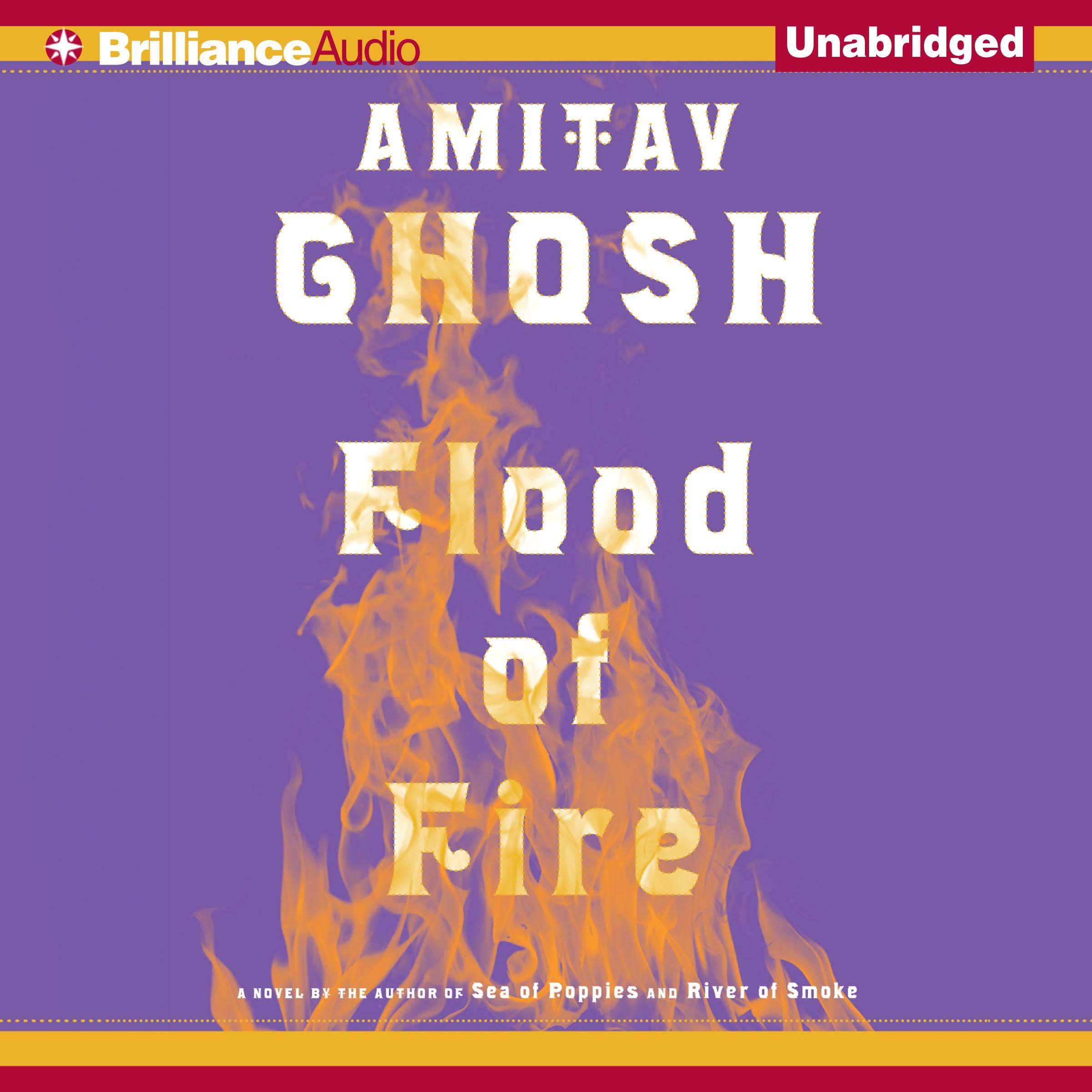 Cover art for Flood of Fire