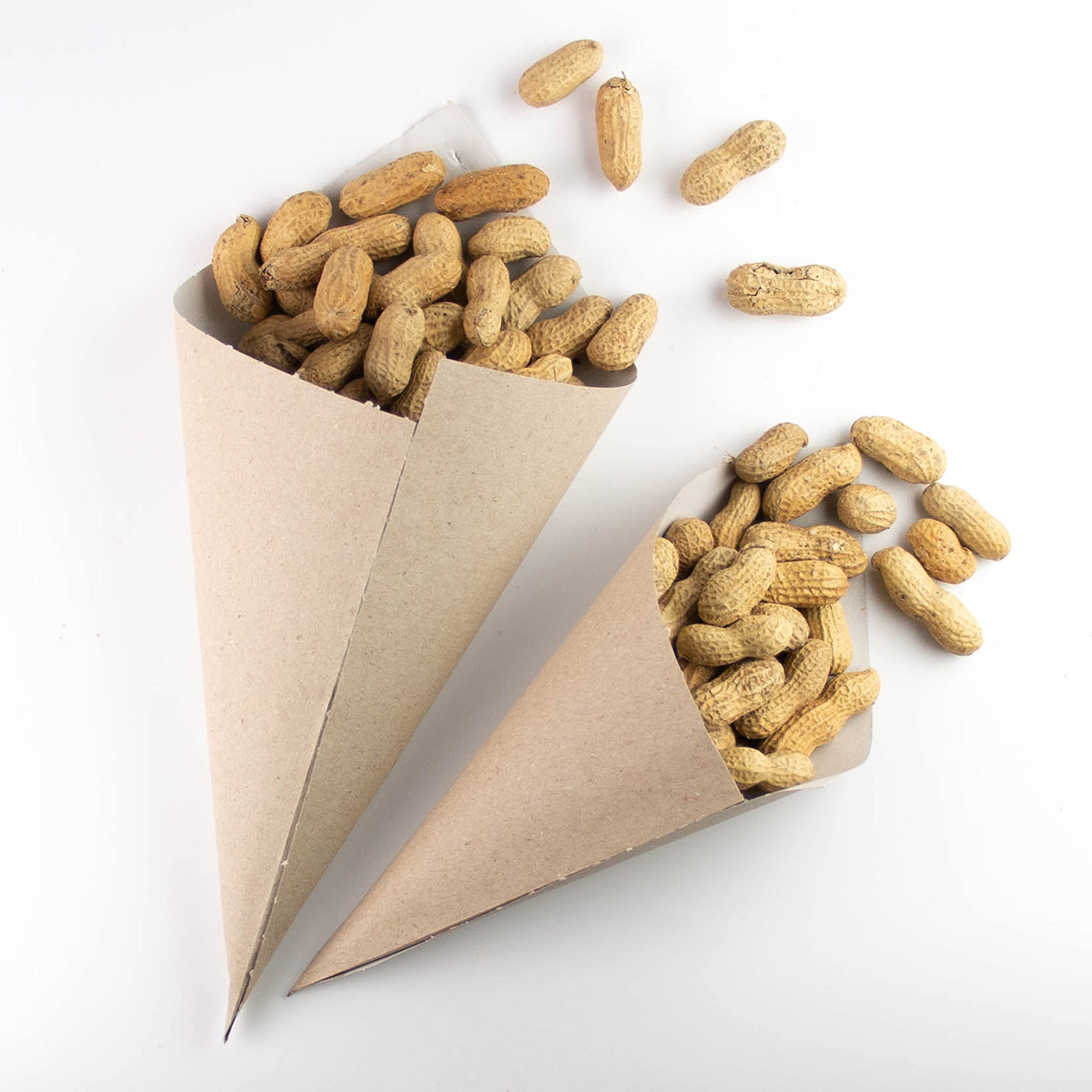 Extiff – Lote de 100 conos de cartón reciclados con marrones calientes o frutas secas o frescas, 100% reciclable, para eventos y bodas (cornet 17 x 24)