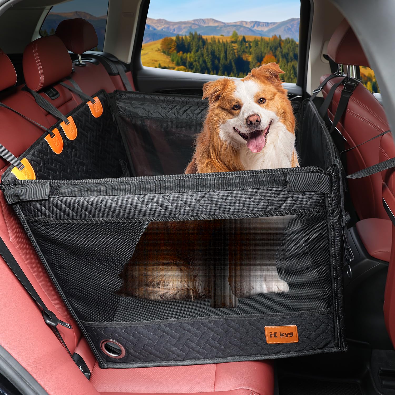 Amazon.co.jp: KYG 【新登場】ドライブボックス 大型犬用 空間拡大