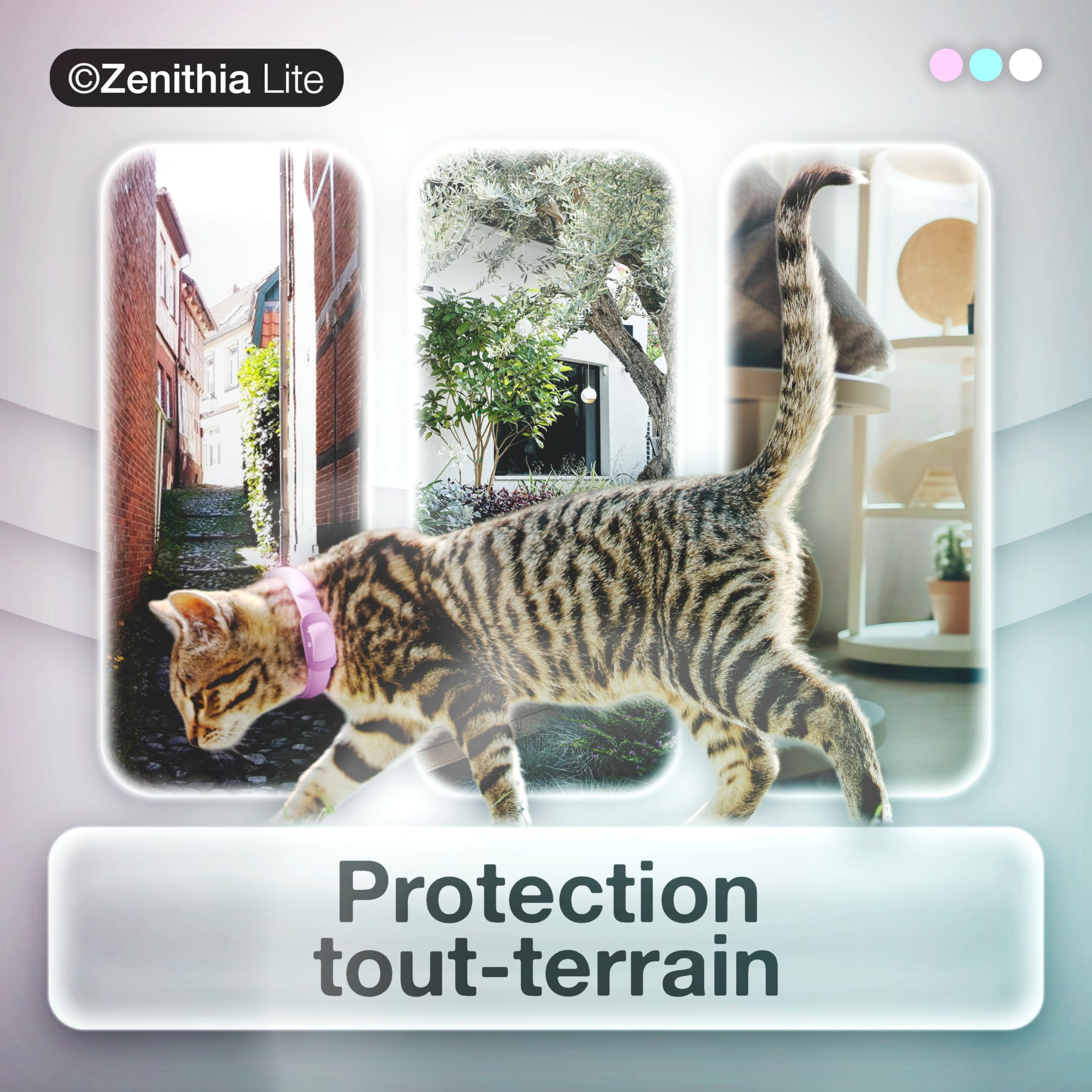 ZENITHIA Lite Collier Antiparasitaire Chat – Répulsif Insectes, Anti-Puces, Tiques et Moustiques – 12 Mois Protection – 48 cm – Ajustable – Végétal – Étanche – 1 Unité