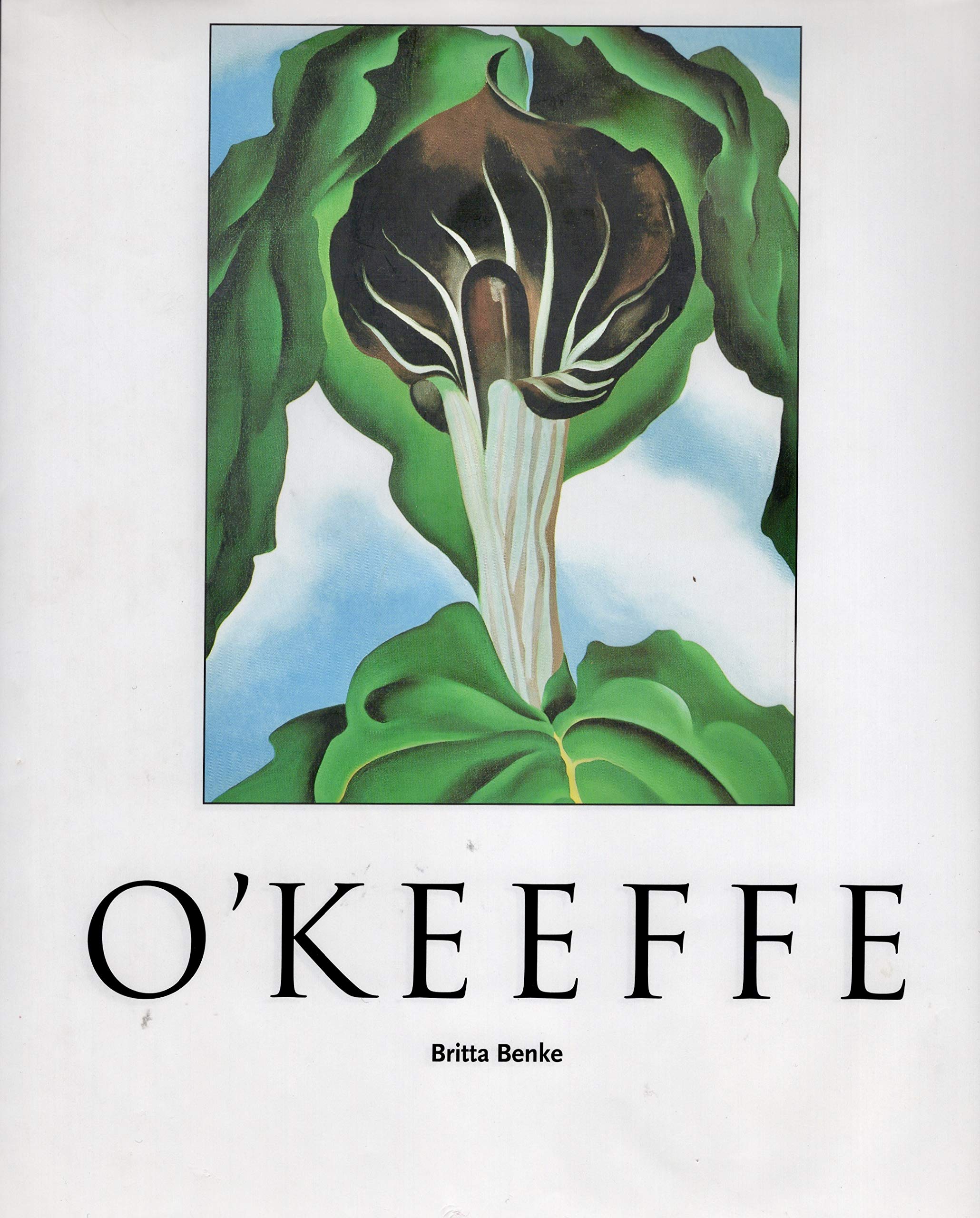 Georgia O'Keeffe, 1887-1986: Flowers in the desert: Amazon.co.uk