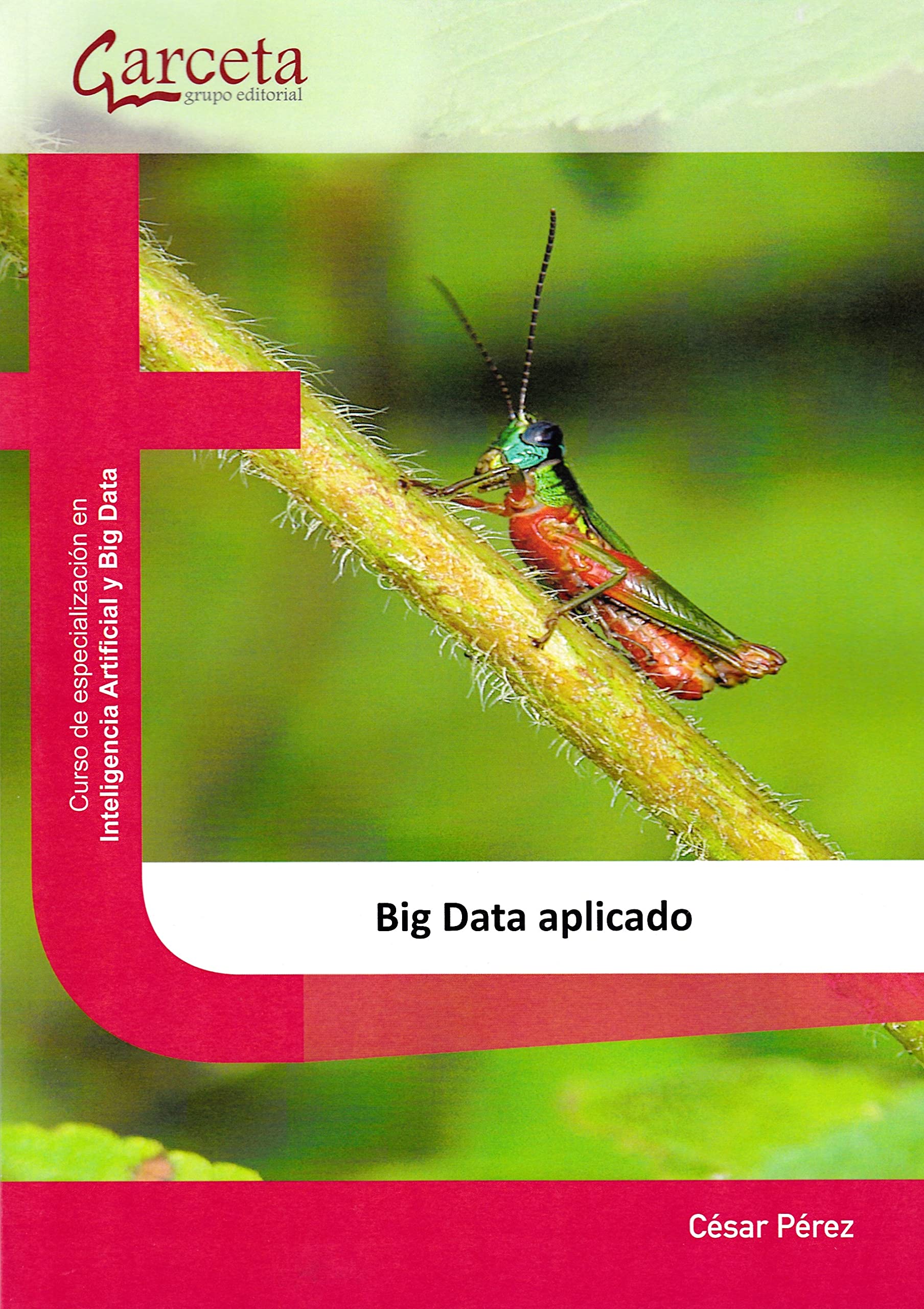 Big Data aplicado: Big Data aplicado (SIN COLECCION)